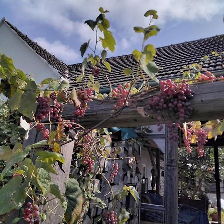 Gemütlichkeit am Vierkanthof 2 Worterberg Exterior foto